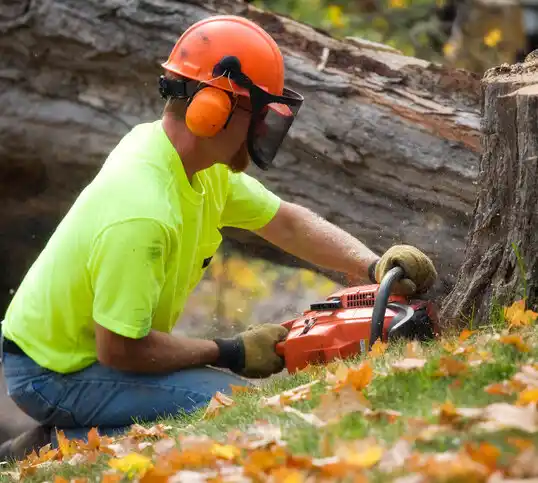 tree services Nyack